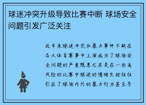 球迷冲突升级导致比赛中断 球场安全问题引发广泛关注